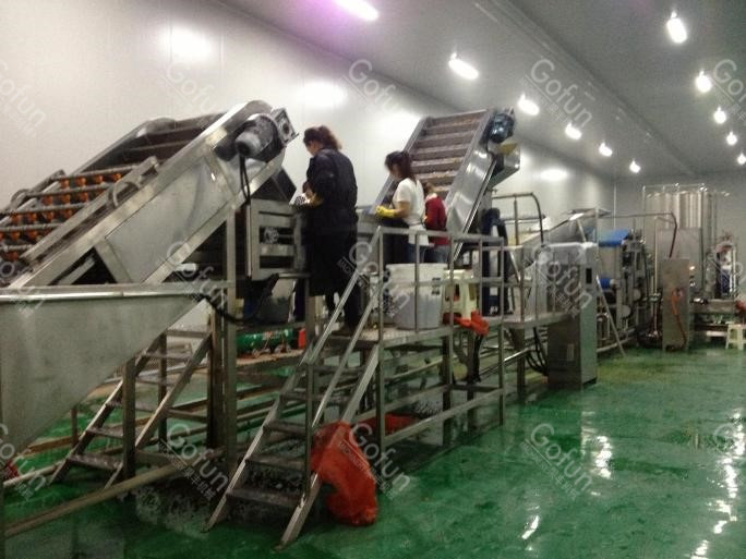 Preheating 20t/H Mango Juice Making Machine SUS304 Destoning Removing