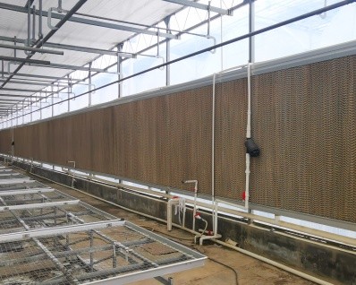 Multi Span Greenhouse Project Management & Advanced Irrigation For Large Farms
