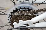 Portable Carbon Fiber 20 Inch Folding Mountain Bike