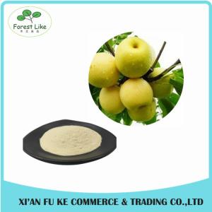 Quality Natural Sydney / Snow Pear Fruit Juice Powder wholesale