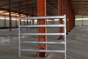 Quality Heavy Duty 15pcs Bundle Heavy Duty Used Cattle Yards For Sale &amp; Gate for Au wholesale