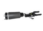 Air Spring Mercedes R Class Suspension 2513205613 W251