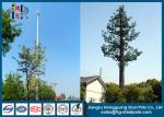 Professional Telecommunications Towers , Disguised Pine Tree Tower