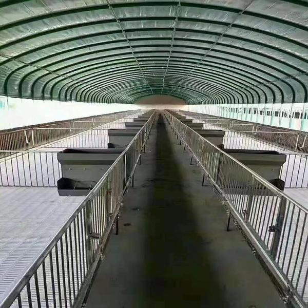 Chicken Cages Heaters Poultry Farm Plastic Film Greenhouse Agricultural