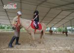 Outdoor Portable 20x40m Horse Riding Arena Stables Hall Tent for Sale