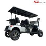 Off Road 4 Seater Electric Golf Cart 48V Custom Tour Electric Shopping Cart