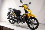 Triumph 110cc CUB Motorcycle Matte Black Muffler Crystal Lamp 4 Stroke Dirt Bike