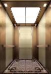 ORIA mordenized home resident home Villa elevator