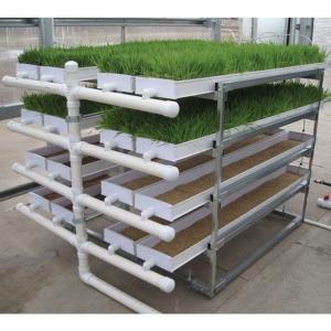 Quality Grass Hydroponic Fodder Machine Livestock Big Farm Fodder Growing Systems wholesale