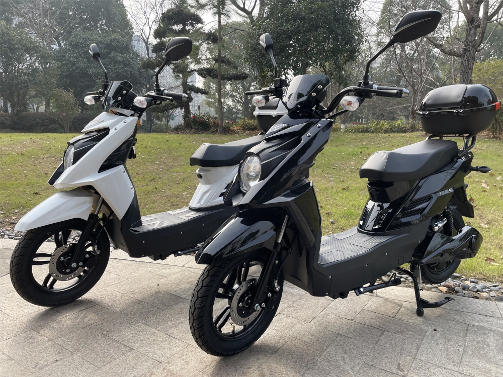 48V 800W Pedal Assisted Electric Scooter With LCD Display 20Ah Lead Acid Battery