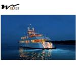 24V 316SS Submersible Pool Lights 18W Underwater Inground Pool Lights