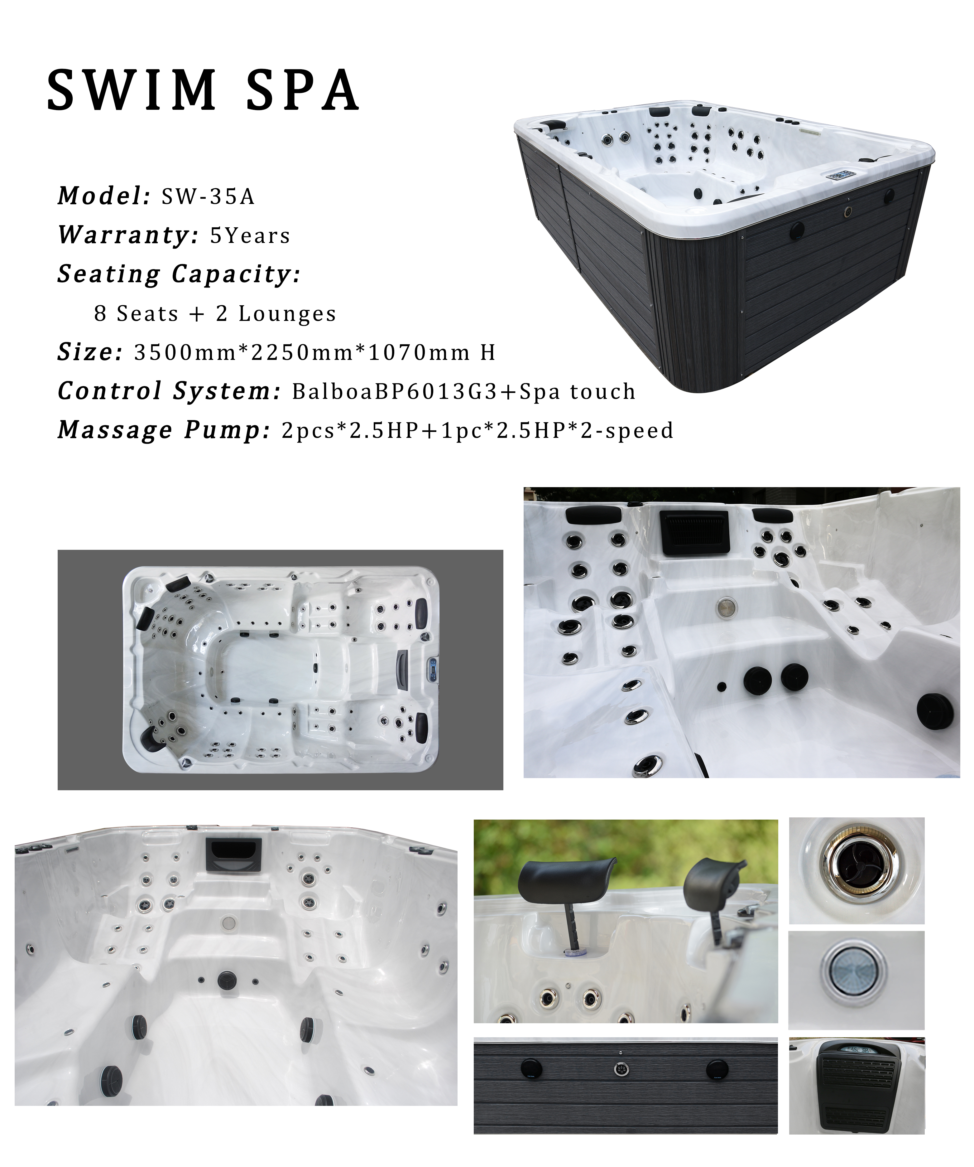 Luxury 10 Persons Swim Spa Tub Acrylic Swimming Pool Hot Tubs Combo