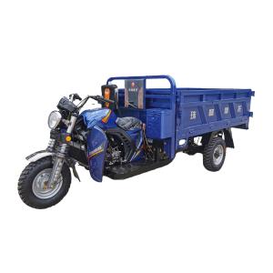 Quality 200cc Water Cooled Three Wheel Motorized Cargo Motorcycles 2*1.4m wholesale