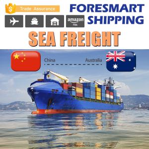 Quality Shanghai To Brisbane Oceania Shipping , 20FT Container Shipping wholesale