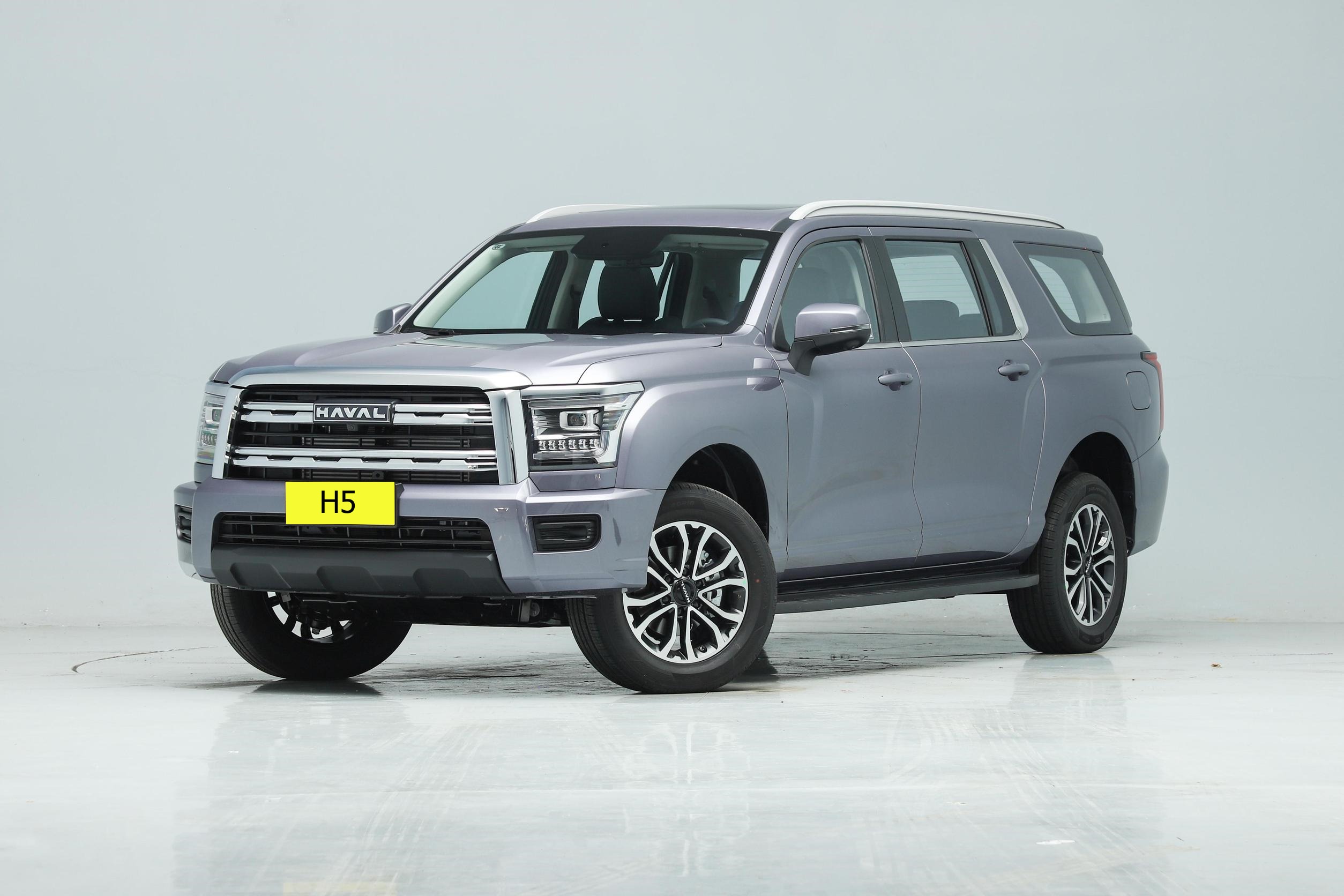SUV 2023 Great Wall HAVAL H5 Electric Diesel Engine Leather Turbo Multi-function Automatic Tank 500 Car R17 LED Camera