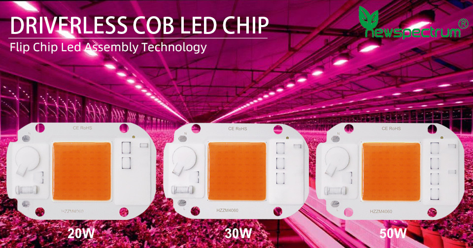 230V AC COB LED Chip High Power Garden Lighting Epistar Chip