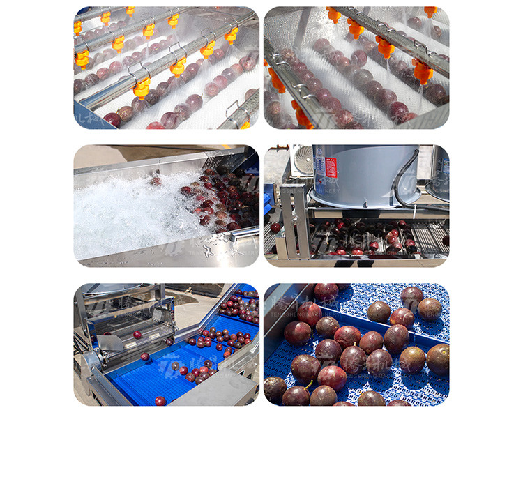 Kiwi Carrot Taro Vegetable Brush Bubble Cleaning Machine 2.5KW
