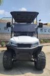 4kw 14 Inch Off Road Tire 4 Wheel Electric Golf Cart Independent Suspension