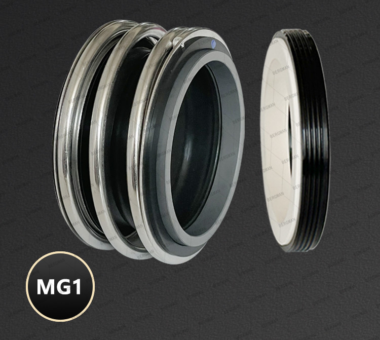 BERGMAN 109/MG1-12mm-110mm G60 G4 G6 G9 G13 G16 BS Bo BP Pump Mechanical Seal