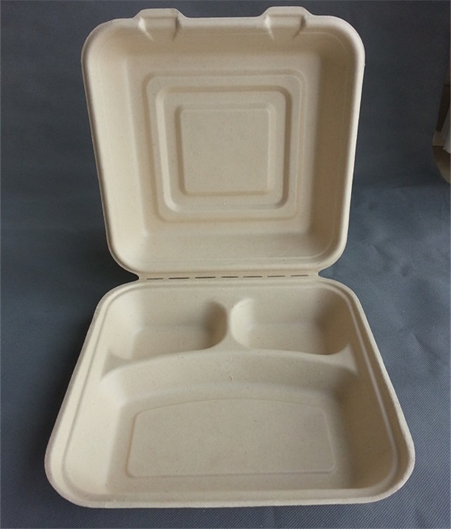 3 Compartment Biodegradable Disposable Microwave Fast Food Container