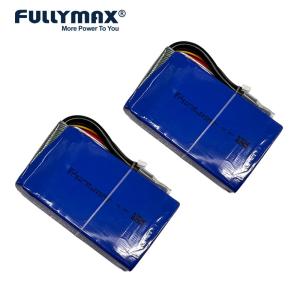 Quality 5000mAh 12.8V 45C 500A LiFePO4 Battery Vehicle Jump Starter Battery Lithium Portable wholesale