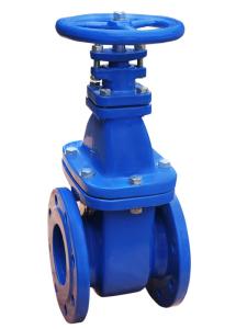 Quality Soft Seated Cast Iron Water Gate Valve Non Rising Stem Resilient WCB Body wholesale