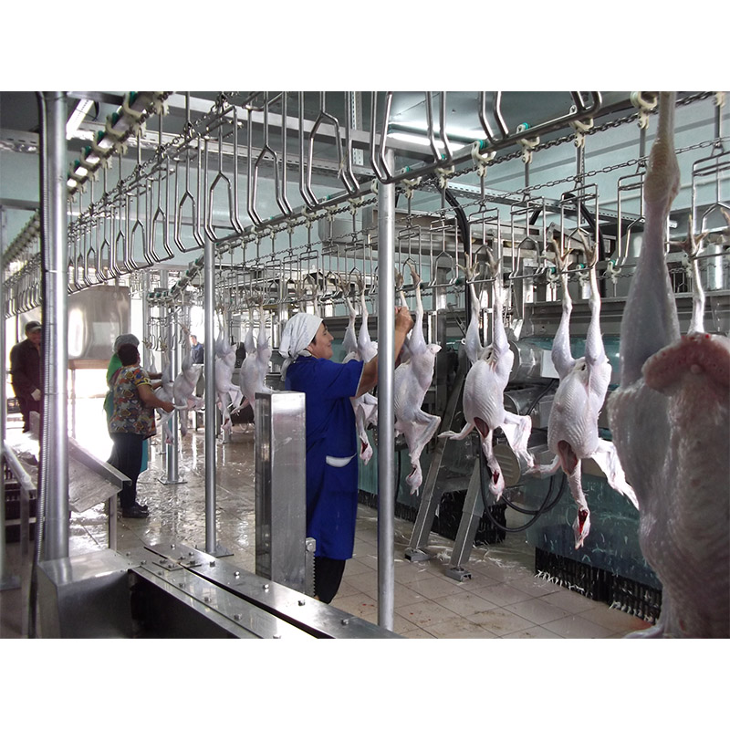 1000 - 6000BPH Weight Sorting Machine For Chicken Slaughtering Line