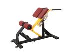 Customizable Ab Exercise Chair Plate Loaded 50kg Equipment Weight Soft Cushion