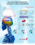 810nm Photobiomodulation Machine For PBM Dementia Treatment