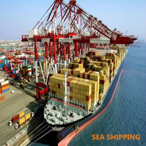 Quality Cargo Duty Included Fast Vessel DDP Sea Shipping To Amazon USA wholesale