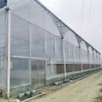 Hydroponic Growing Systems Greenhouse Low Cost Greenhouse Agriculture Plastic