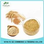 Best Selling Healthy Food Instant Oat Powder