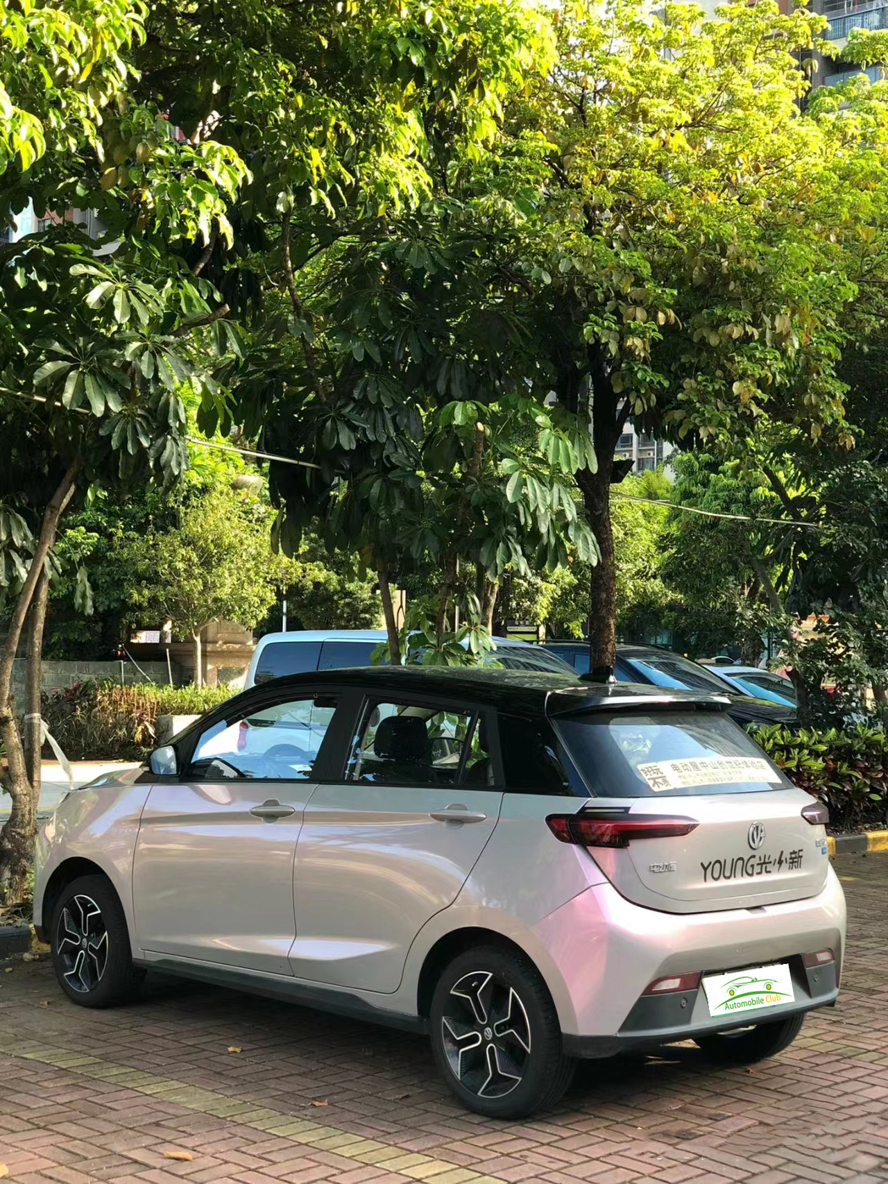 2023 Model Pure Electric Car YOUNG 302km Range 0.5h Fast Charge 4 Seats Full Load Weight 1080KG Maximum Power 35 100km/h