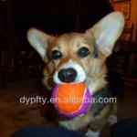 Pet Traing Rubber Tennis Ball
