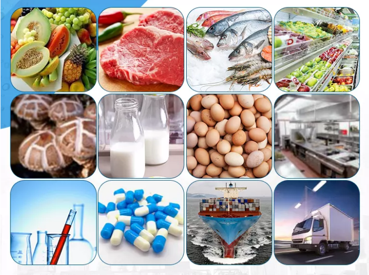 Commercial Cold room price 20ft container walk in freezer cold storage for keep fresh fruits /vegetables /fish/transportation