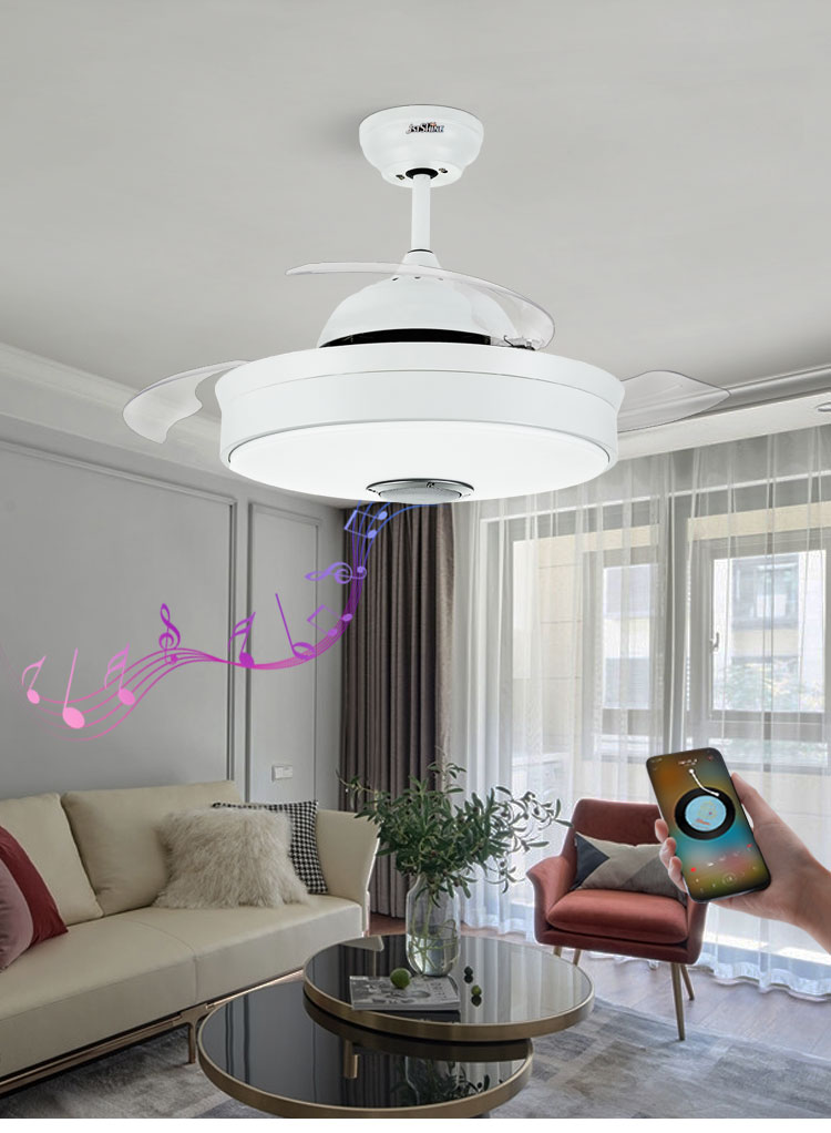 Hidden Blades Ceiling Fan with 5 Speeds and Modern Design in Black/White/Multi Colors
