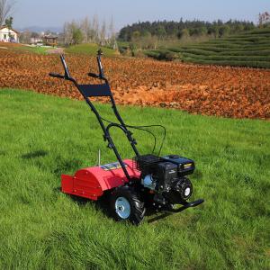 Quality 500mm Micro Tillage Machine Hand Push Gasoline Walking Tractor Tiller 210kgs wholesale