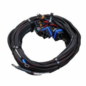 Quality AWH28 Heavy Duty Truck Wiring Harness Electrical Cables Assembly wholesale