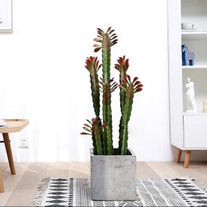Quality Custom Cactus Ornaments Bonsai Artificial Succulent Plant wholesale