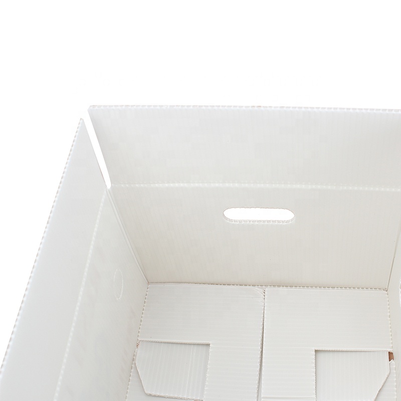 Biodegradable PP Hollow Custom Corrugated Boxes