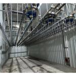 500PCS Automatic Poultry Slaughterhouse Equipment Stainless Steel Chicken