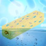 Freshwater Small Ceramic Biological Filter Media