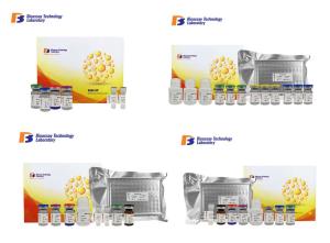 Quality 96 Wells Size Sandwich ELISA Kit / Mouse ELISA Kit GAL8 5.56ng/L Sensitivity wholesale
