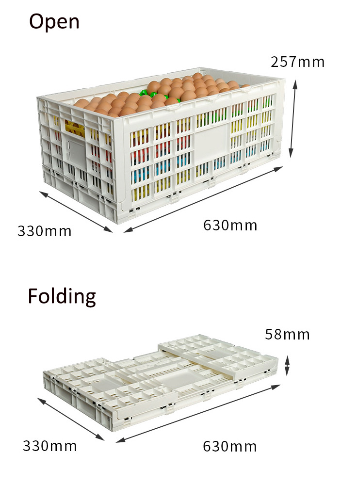 Foldable and Collapsible Egg Crate Meshy Box for Convenient Egg Transportation Solutions