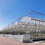 Plastic Film Agricultural High Quality Galvanized Pipe Multi-span Greenhouse