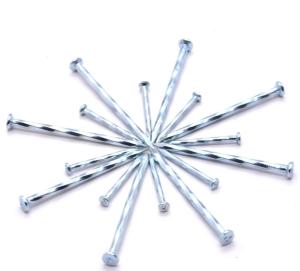 Quality Spiral Steel Galvanized Construction Concrete Nails Common Iron Nail wholesale