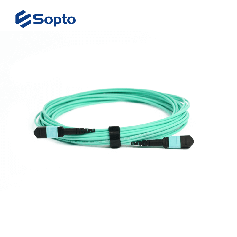 24 Cores MPO MTP Patch Cord Female A Type For CATV Video And Multimedia