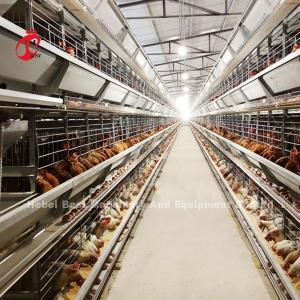 Quality 2.2m Poultry Farming Cage System , 9 Tiers Battery Cage For Layers Rose wholesale