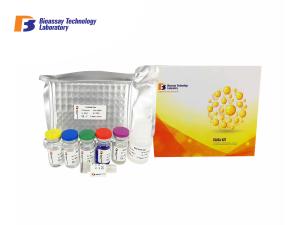 Quality Msds Approved Enzyme Immunoassay Kit , Kidney Injury Molecule 1 Elisa Assay Kit wholesale