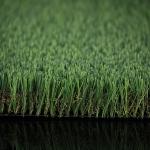 Four Green Colours Plastic Lawn Grass / Plastic Green Grass Mat ISO9001